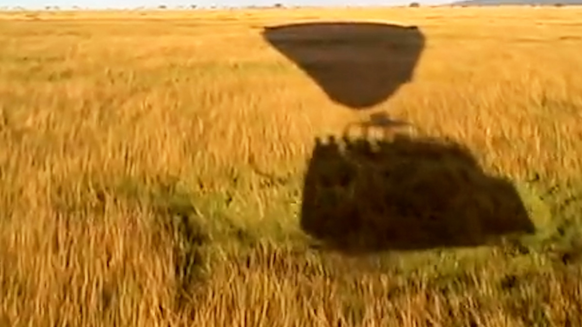 Still 2